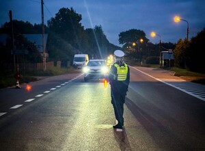 policjanci prowadza kontrole pojazdów