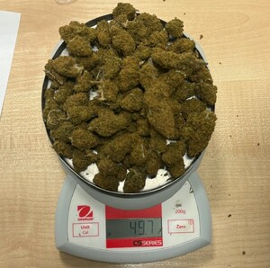 Zabezpieczona marihuana na wadze