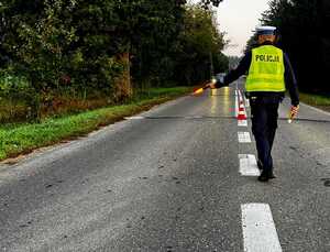 policjanci na drodze kontrolują pojazdy