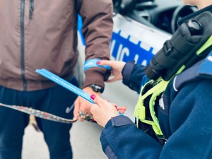 policjacni podczas działan w rejonach przejsc dla pieszych