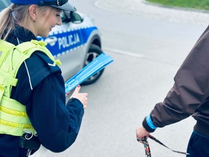 policjacni podczas działan w rejonach przejsc dla pieszych